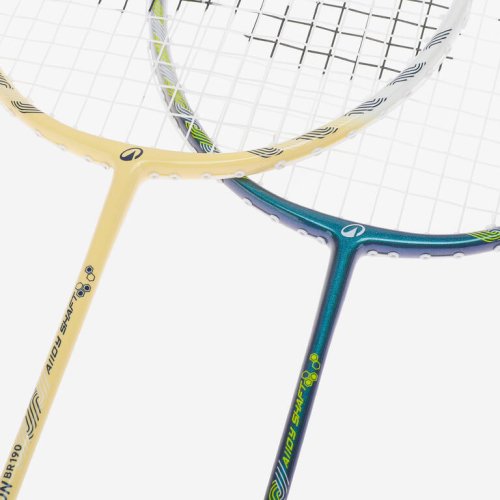 ADULT BADMINTON RACKET BR 190 SET PARTNER GREEN BEIGE